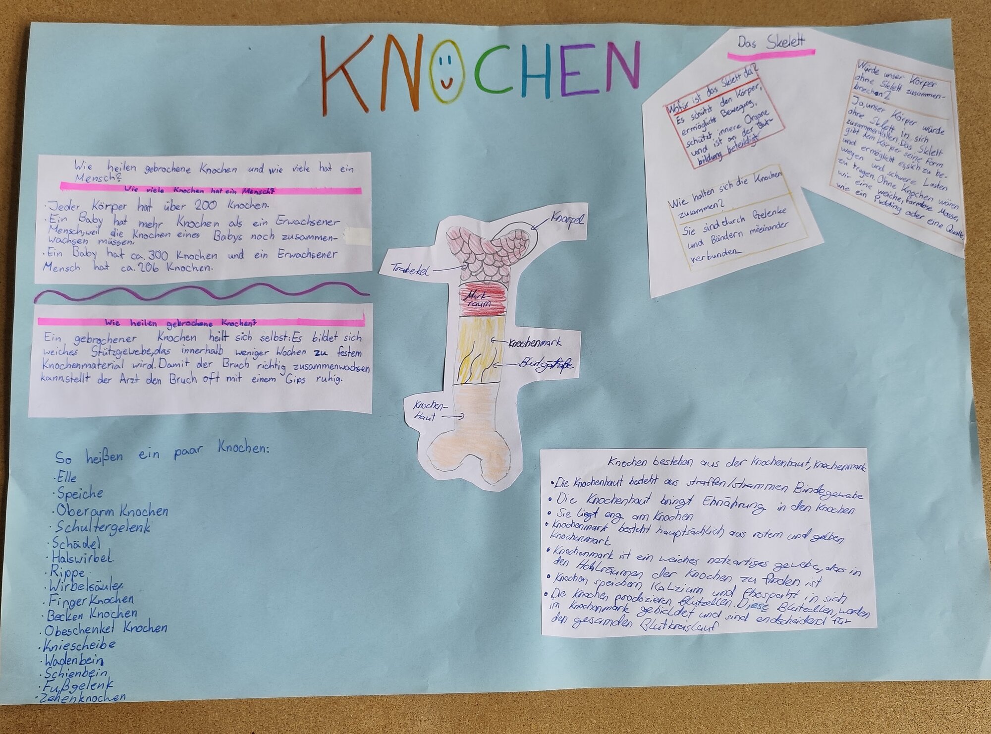 Tannenbusch_Knochen.jpg