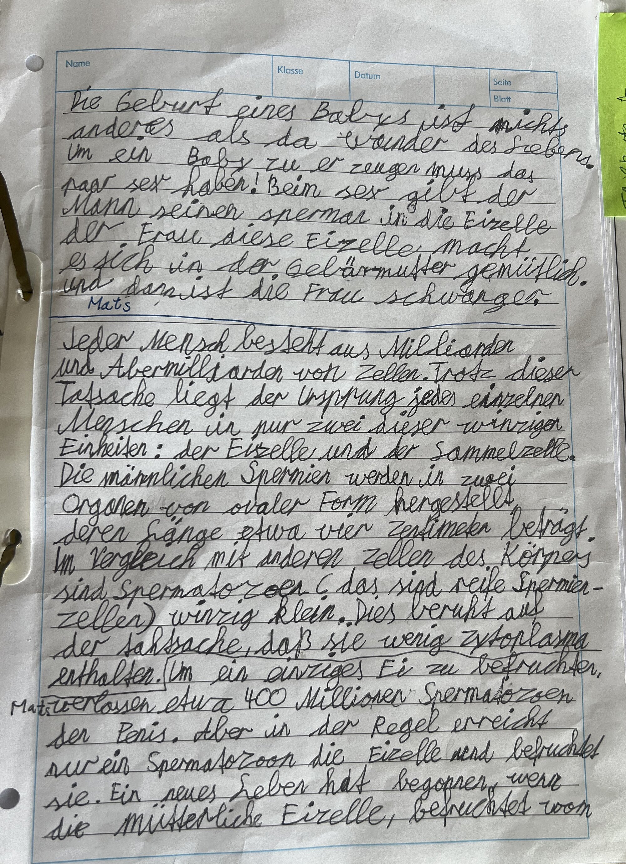 GGS_Kaempchen_Schwangerschaft.jpg