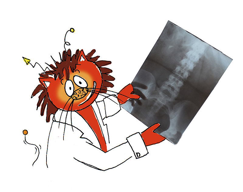 Comicfigur im Arztkittel hält ein Röntgenbild
