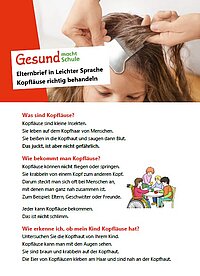 Information zum Thema Kopfläuse