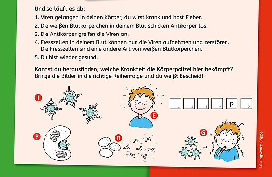 Arbeitsblatt für Kinder über das Immunsystem