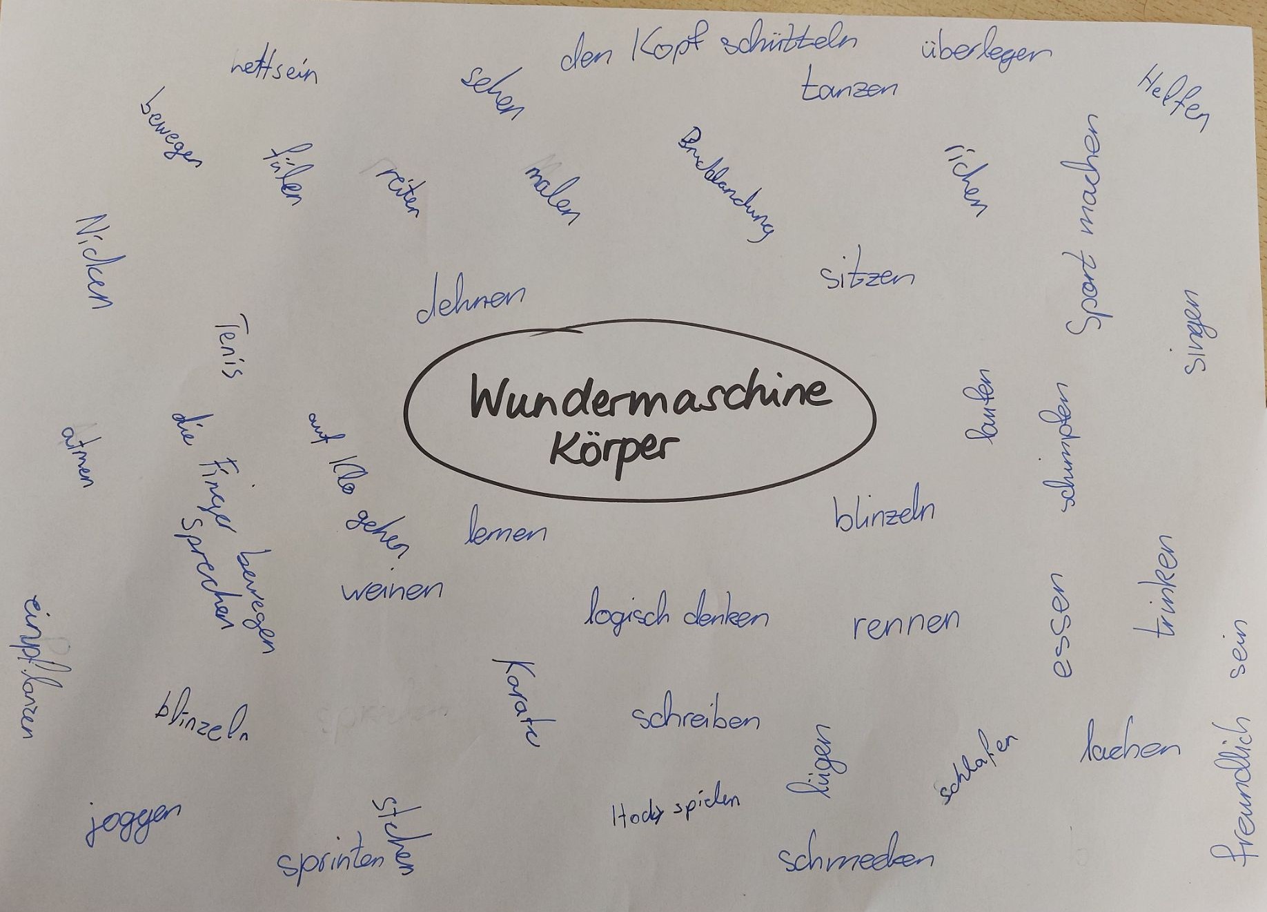 GS_Am_Krausen_Baeumchen_Koerper_2.jpeg